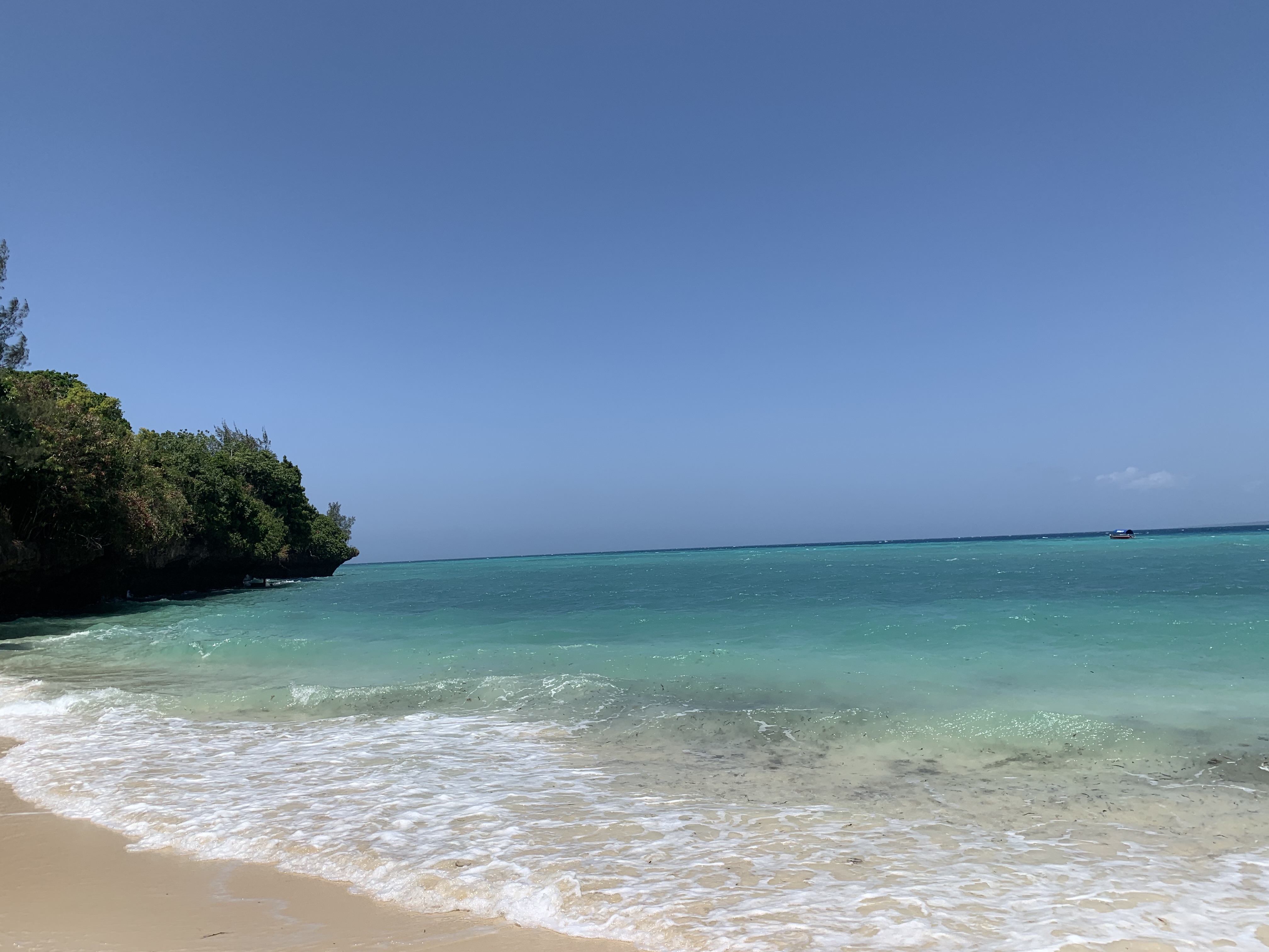 Zanzibar Seaside